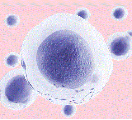 TÌM HIỂU VỀ ENZYME DIỆU KỲ.